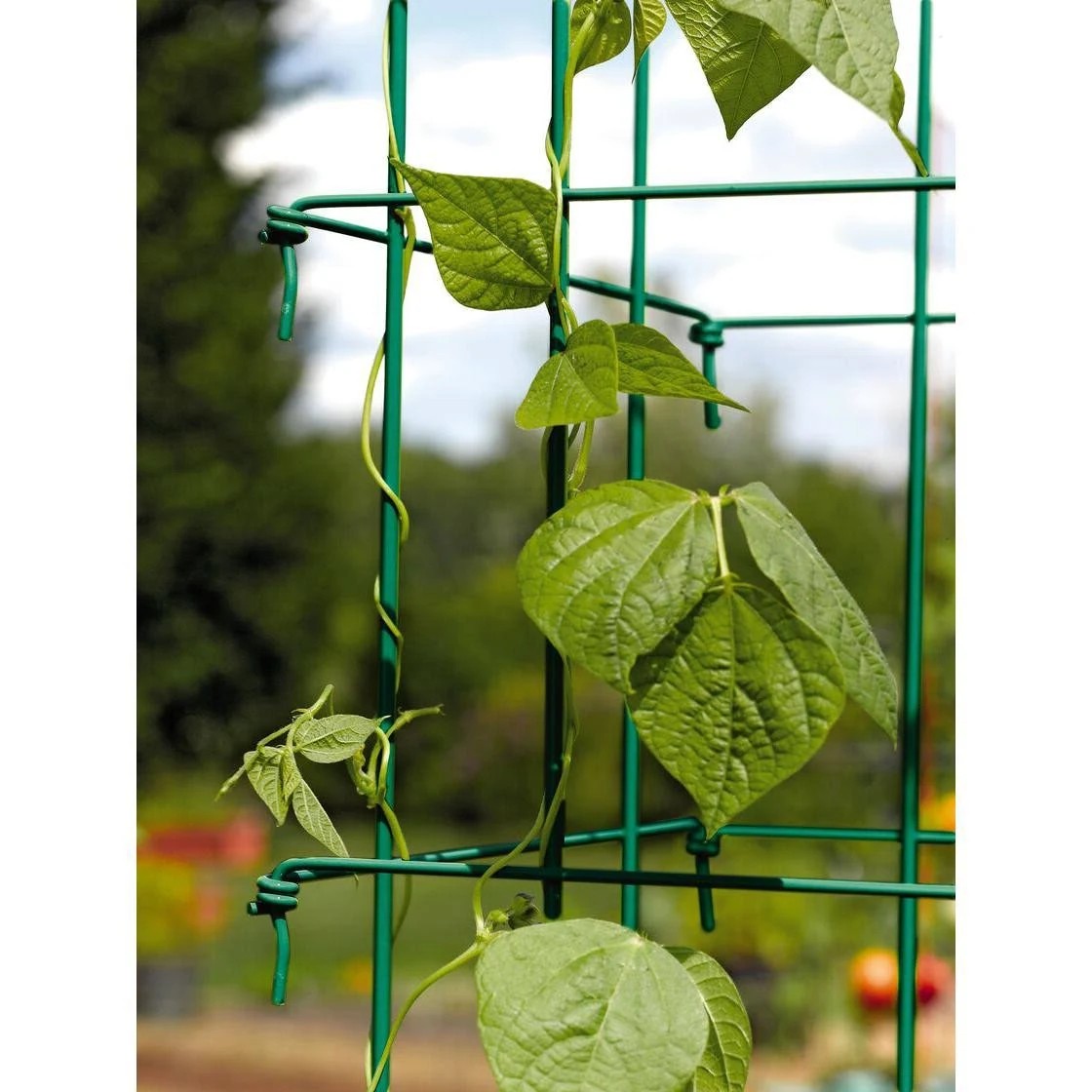 Gardener's Supply Company 75 inch Bean Trellis, TJ7MRU