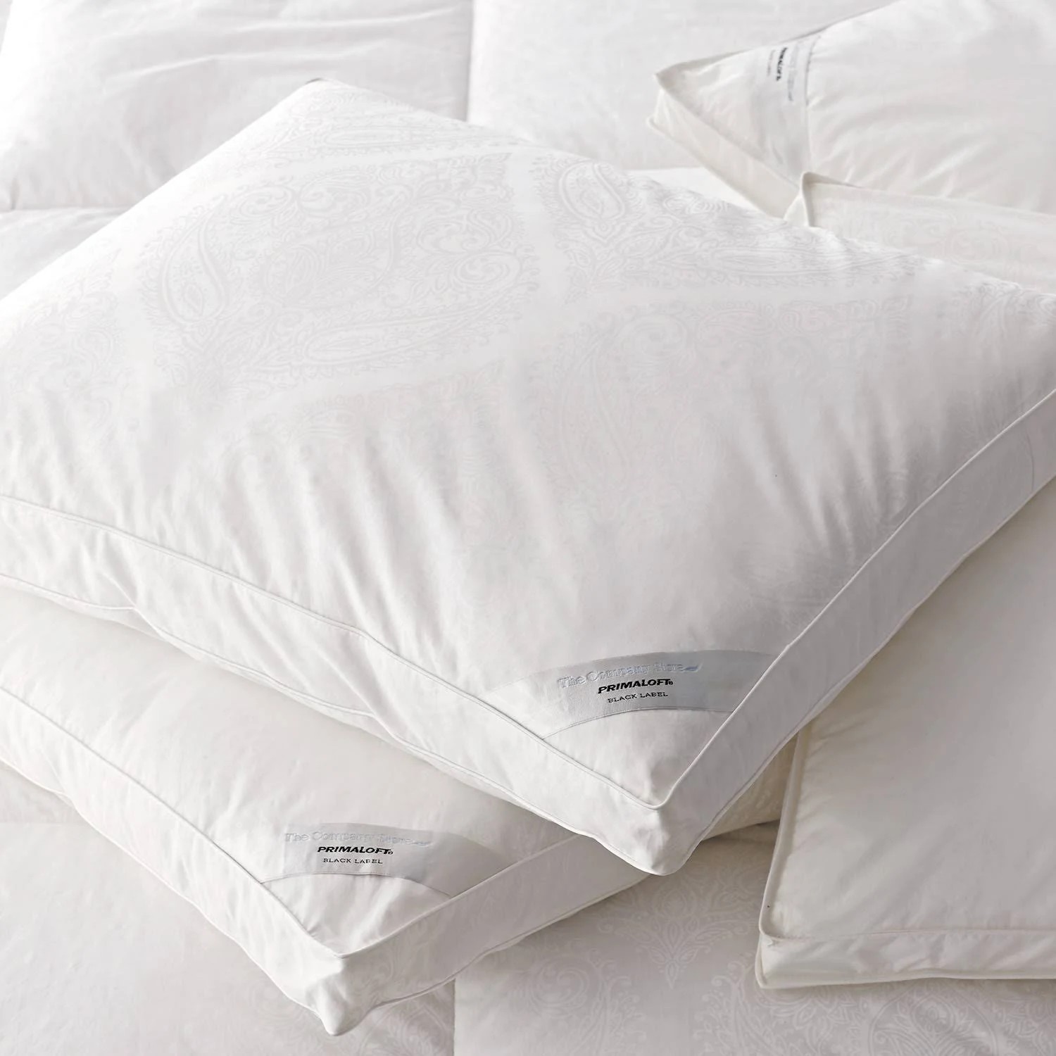 The Company Store Black Label Primaloft Firm Down Alternative Euro Pillow, White ONZLC5