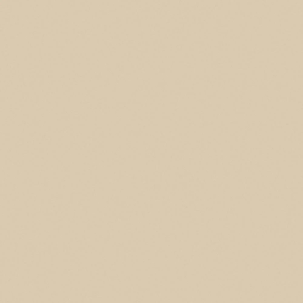 Wilsonart Light Beige - Laminate 5' x 12' Sheets - Matte J6JE7T